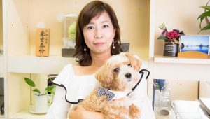 京の占い 未来の占い