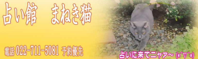 仙台占い館　まねき猫