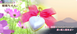 ハローライフ娘蛸ちゃん。